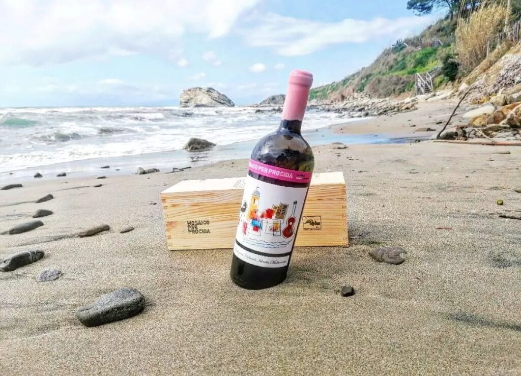 Il sommelier Gaetano Cataldo consegna al Papa la bottiglia di vino celebrativa di Procida Capitale della Cultura