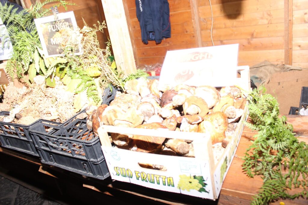 AVELLA. Le foto di un sabato di festa girando per la sagra della Castagna e della nocciola