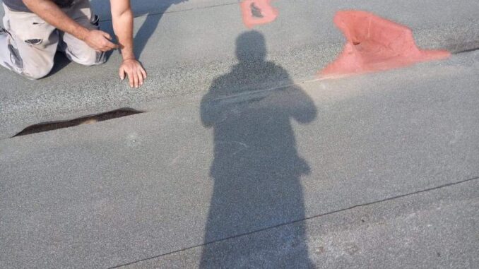 WhatsApp Image 2022-10-14 at 22.28.39