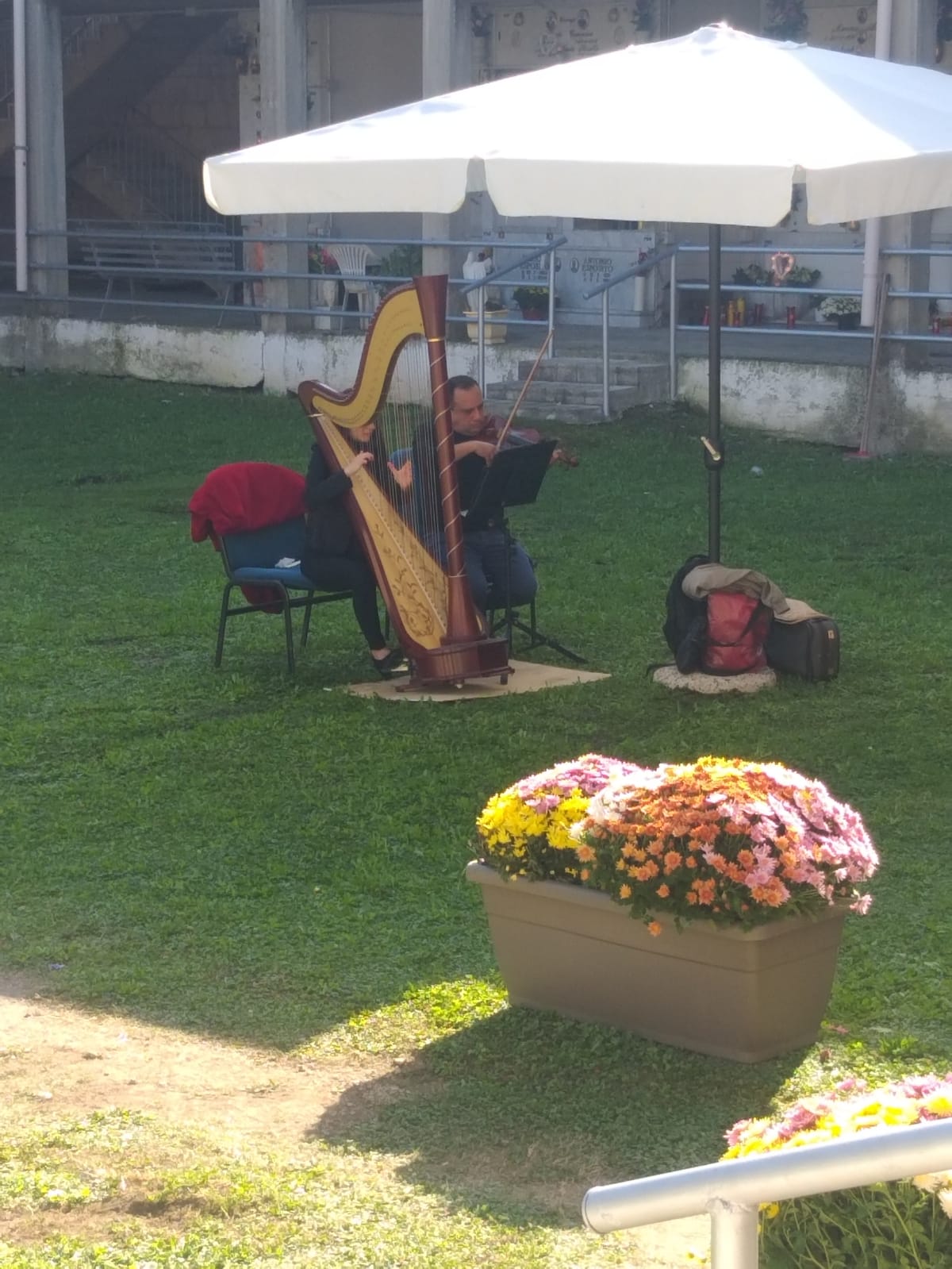 TUFINO. Accoglienza sbalorditiva al cimitero, un look esclusivo: fiori, tappeto blu e la musica di arpe e violini TUFINO. Accoglienza sbalorditiva al cimitero, un look esclusivo: fiori, tappeto blu e la musica di arpe e violini