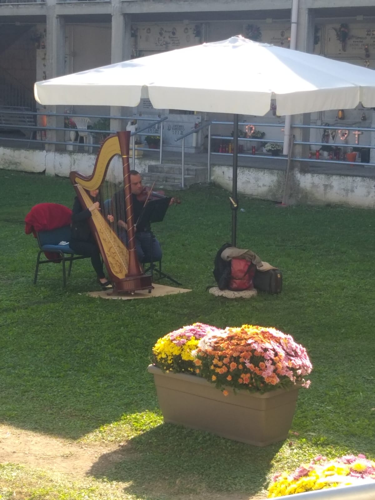 TUFINO. Accoglienza sbalorditiva al cimitero, un look esclusivo: fiori, tappeto blu e la musica di arpe e violini TUFINO. Accoglienza sbalorditiva al cimitero, un look esclusivo: fiori, tappeto blu e la musica di arpe e violini