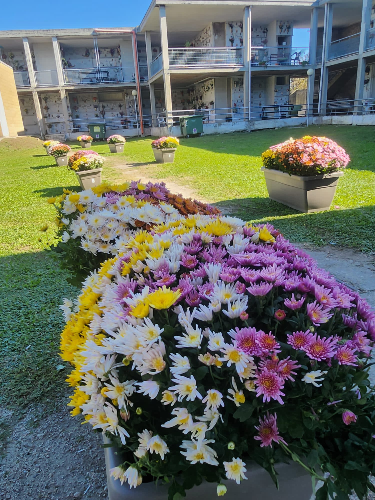 TUFINO. Accoglienza sbalorditiva al cimitero, un look esclusivo: fiori, tappeto blu e la musica di arpe e violini TUFINO. Accoglienza sbalorditiva al cimitero, un look esclusivo: fiori, tappeto blu e la musica di arpe e violini