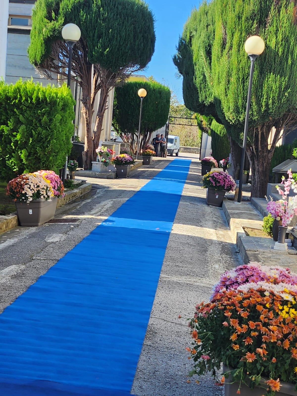 TUFINO. Accoglienza sbalorditiva al cimitero, un look esclusivo: fiori, tappeto blu e la musica di arpe e violini TUFINO. Accoglienza sbalorditiva al cimitero, un look esclusivo: fiori, tappeto blu e la musica di arpe e violini