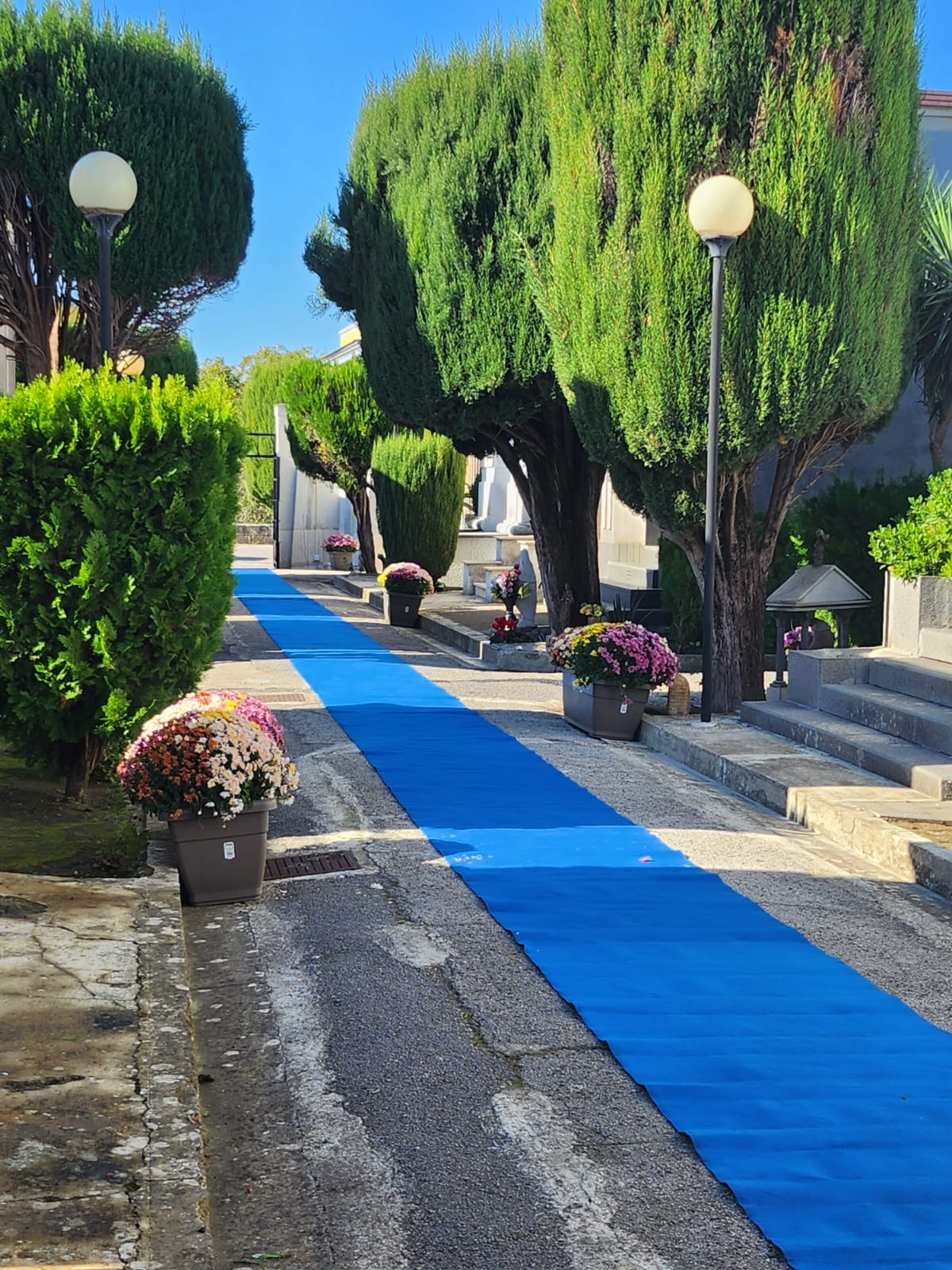 TUFINO. Accoglienza sbalorditiva al cimitero, un look esclusivo: fiori, tappeto blu e la musica di arpe e violini TUFINO. Accoglienza sbalorditiva al cimitero, un look esclusivo: fiori, tappeto blu e la musica di arpe e violini