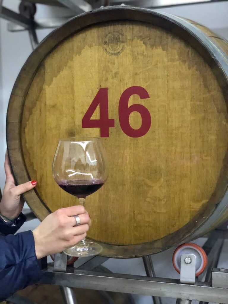 Cantine Aperte a San Martino. Aminea Winery propone la degustazione Vino nuovo vs Vino Novello e focus sulla Castagna di Montella IGP