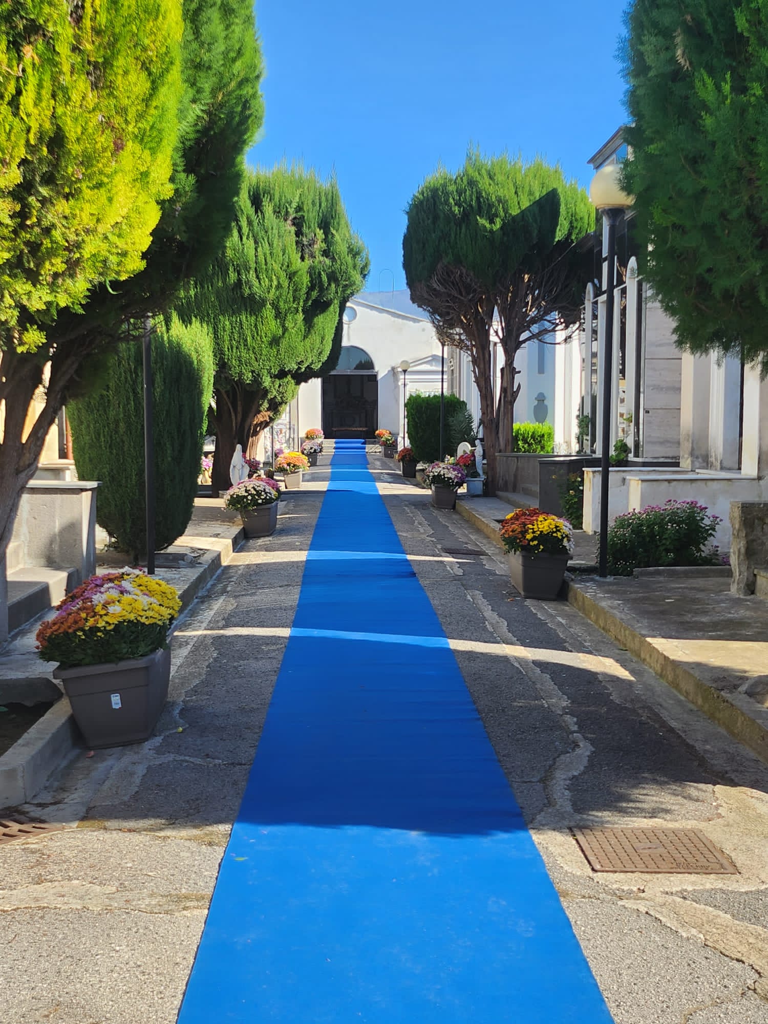 TUFINO. Accoglienza sbalorditiva al cimitero, un look esclusivo: fiori, tappeto blu e la musica di arpe e violini TUFINO. Accoglienza sbalorditiva al cimitero, un look esclusivo: fiori, tappeto blu e la musica di arpe e violini