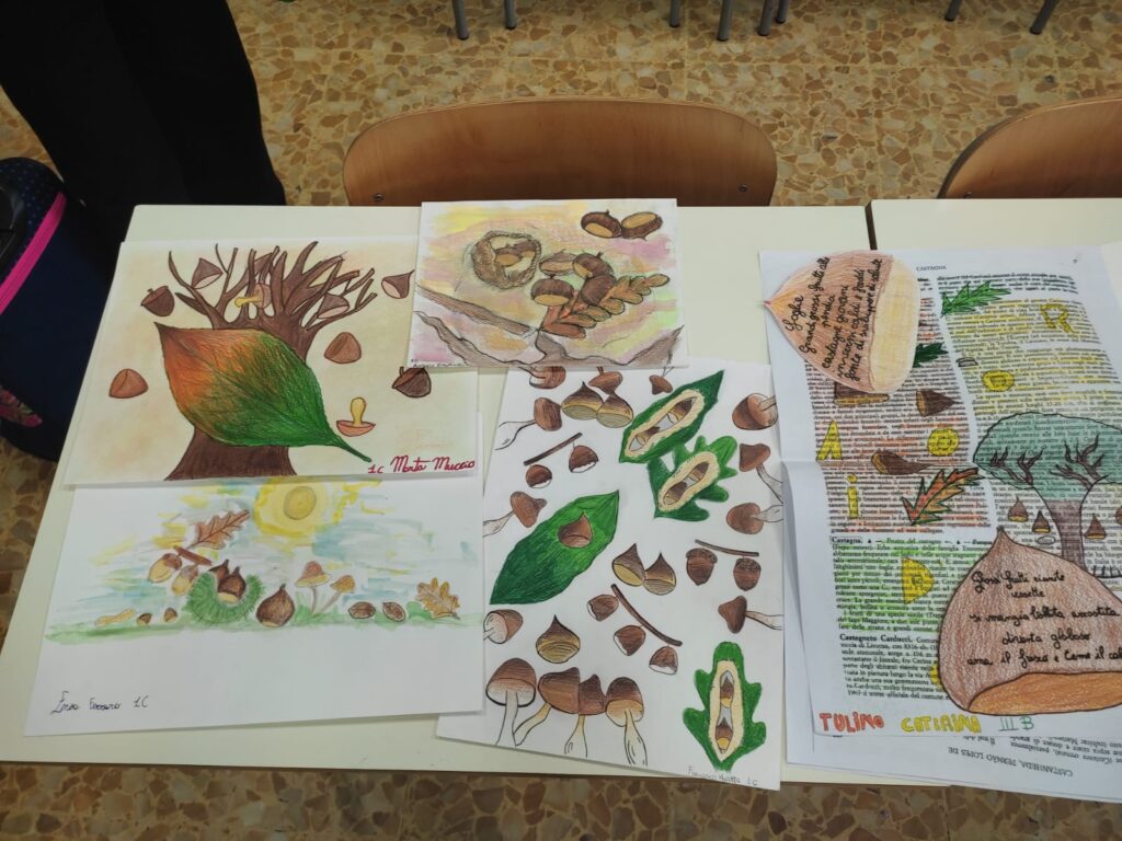 AVELLA. Gli alunni dell’ I.C.S. “Mons. P. Guerriero” premiati alla manifestazione “Mai D’argento”