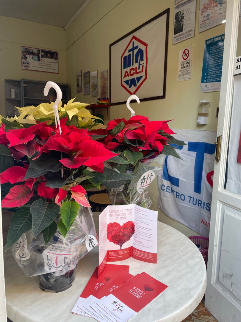 CASAMARCIANO. ACLI e Paese Sostenibile: AIL per la campagna delle Buone Stelle. CASAMARCIANO. ACLI e Paese Sostenibile: AIL per la campagna delle Buone Stelle.