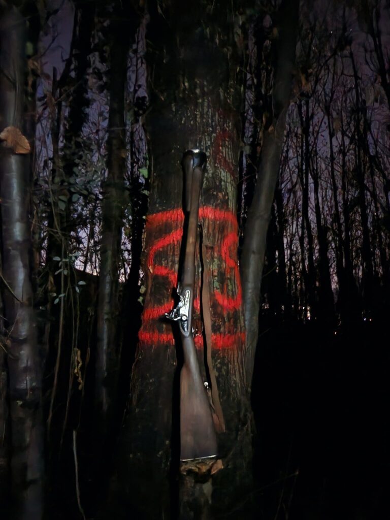 BAIANO. Tra 7 giorni il Maio ritorna protagonista. Le foto del maio a mezzanotte BAIANO. Tra 7 giorni il Maio ritorna protagonista. Le foto del maio a mezzanotte