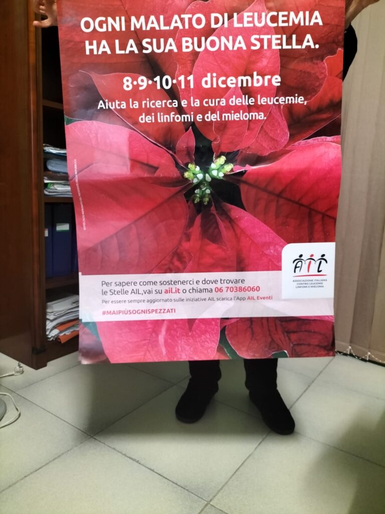 BAIANESE. Arrivano le stelle di Natale AIL per la ricerca BAIANESE. Arrivano le stelle di Natale AIL per la ricerca