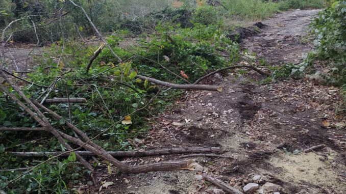 FBC45660-A75F-4A2F-9578-92BED29DE605