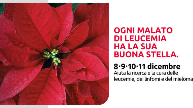 Stelle2022_1200x630_paginainternasito