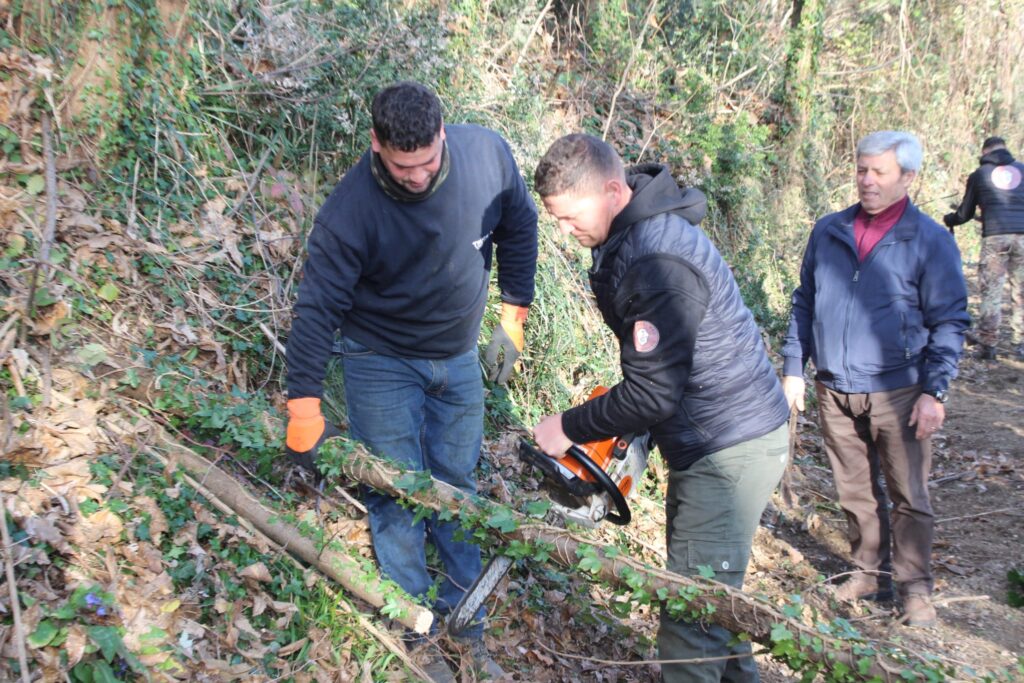 SPERONE. Il taglio del Maio di Sant’Elia. Le foto più belle di Francesco Piccolo