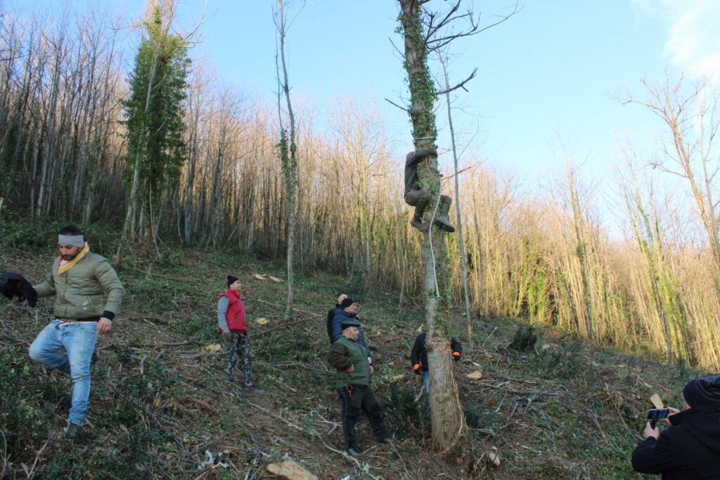 SPERONE. Il taglio del Maio di Sant’Elia. Le foto più belle di Francesco Piccolo
