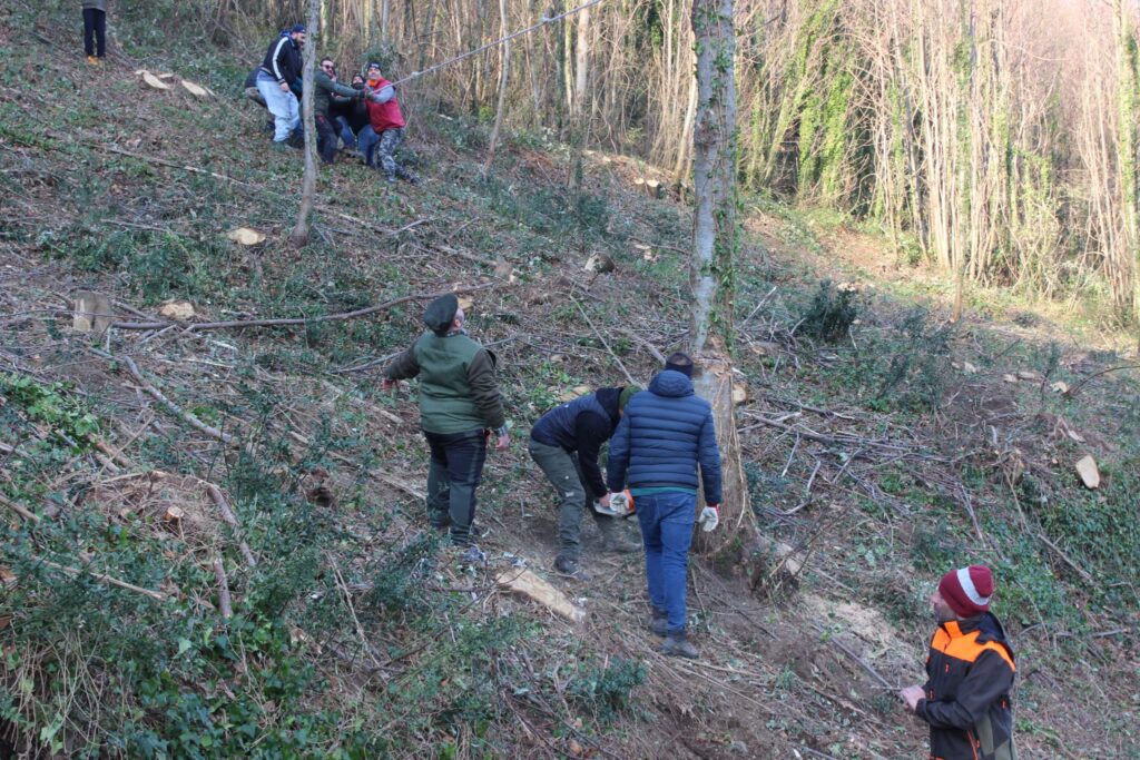 SPERONE. Il taglio del Maio di Sant’Elia. Le foto più belle di Francesco Piccolo