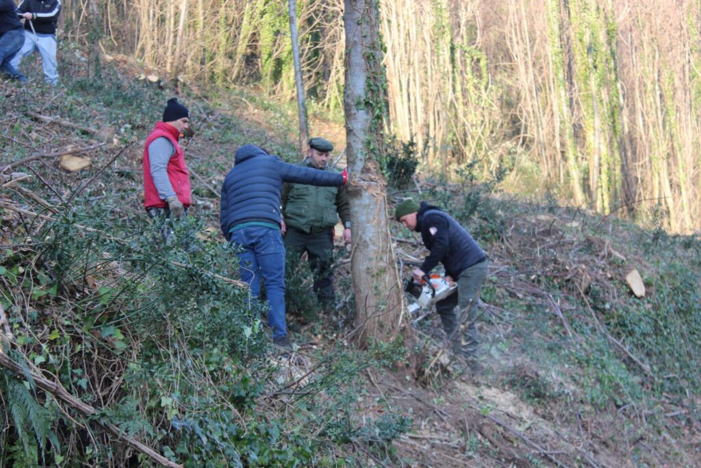 SPERONE. Il taglio del Maio di Sant’Elia. Le foto più belle di Francesco Piccolo