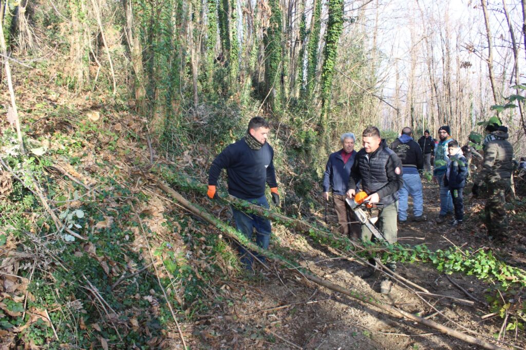 SPERONE. Il taglio del Maio di Sant’Elia. Le foto più belle di Francesco Piccolo