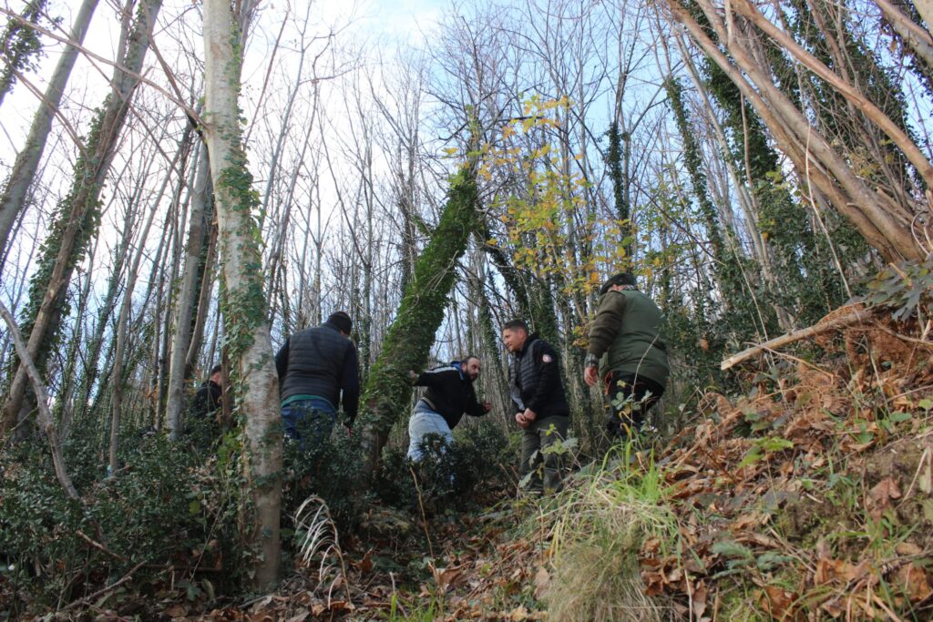SPERONE. Il taglio del Maio di Sant’Elia. Le foto più belle di Francesco Piccolo