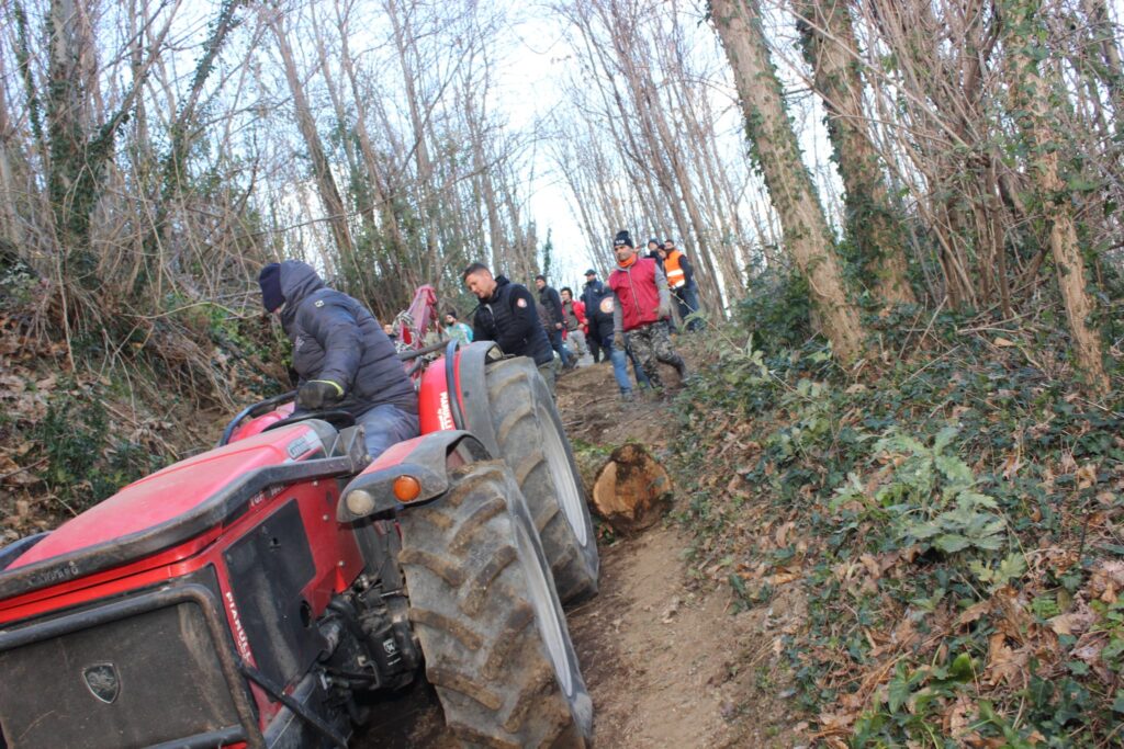 SPERONE. Il taglio del Maio di Sant’Elia. Le foto più belle di Francesco Piccolo