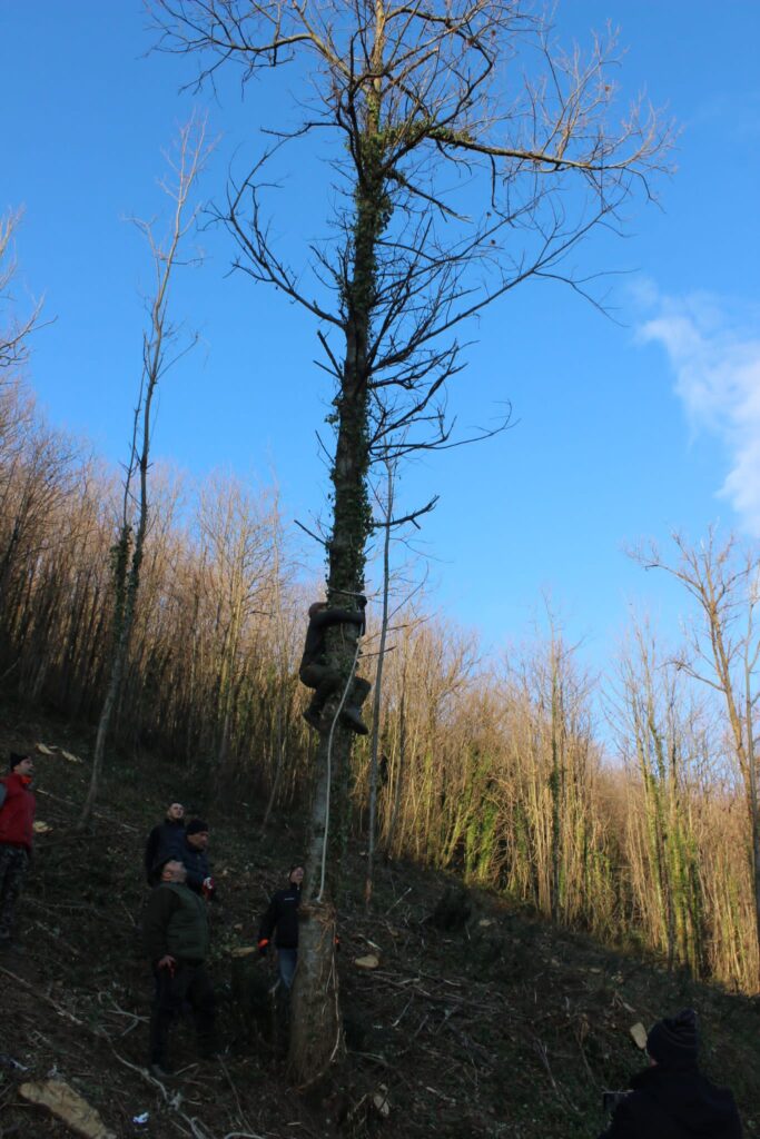 SPERONE. Il taglio del Maio di Sant’Elia. Le foto più belle di Francesco Piccolo