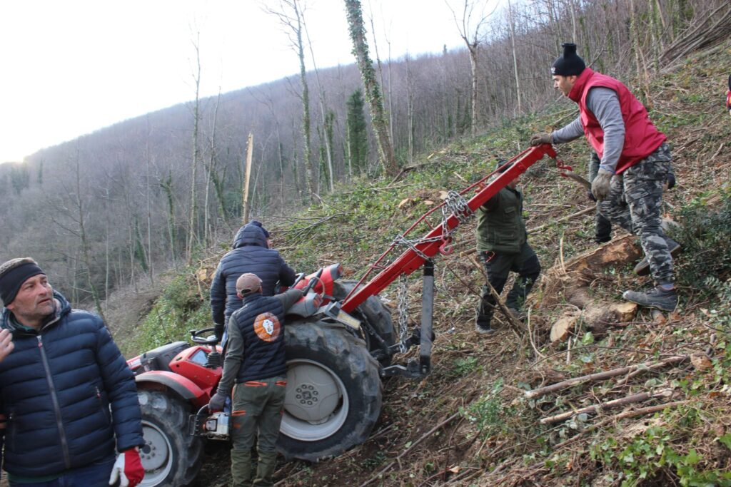 SPERONE. Il taglio del Maio di Sant’Elia. Le foto più belle di Francesco Piccolo