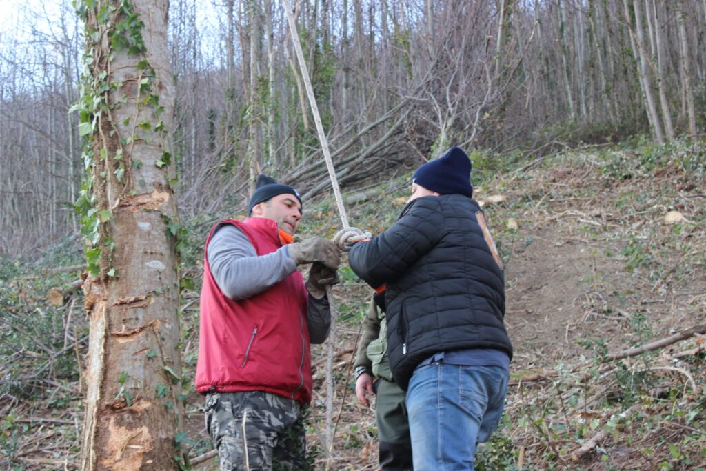 SPERONE. Il taglio del Maio di Sant’Elia. Le foto più belle di Francesco Piccolo