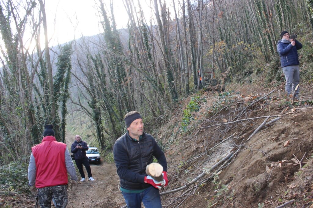 SPERONE. Il taglio del Maio di Sant’Elia. Le foto più belle di Francesco Piccolo