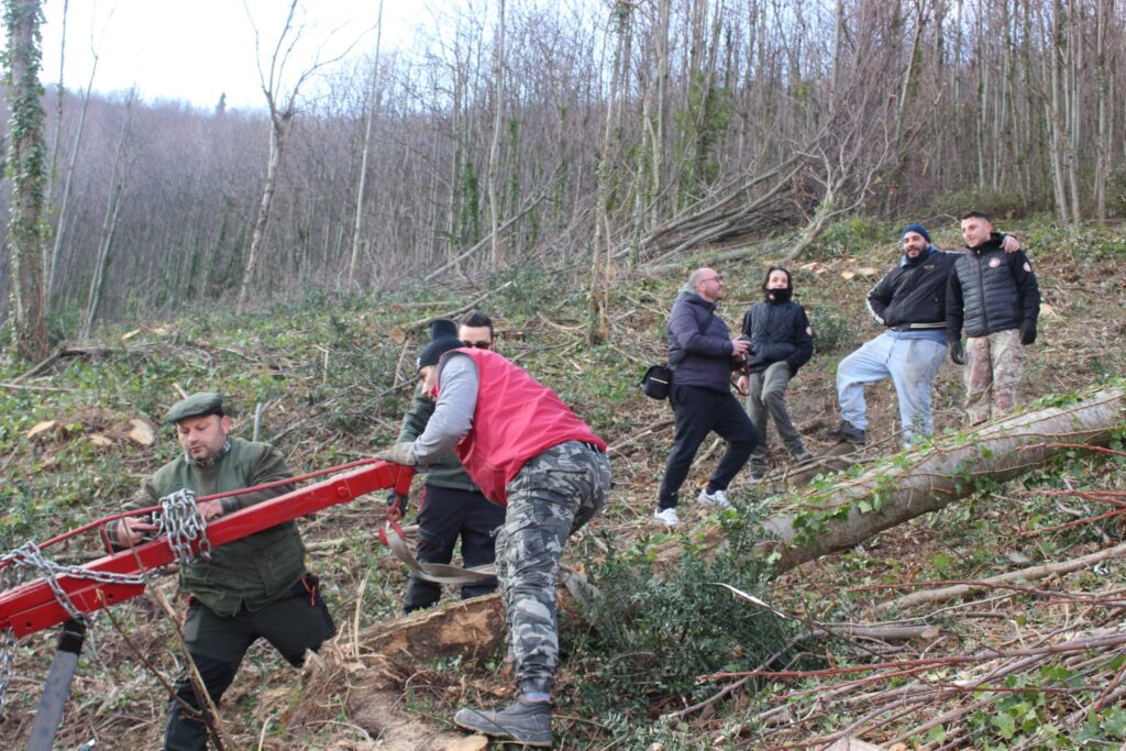 SPERONE. Il taglio del Maio di Sant’Elia. Le foto più belle di Francesco Piccolo