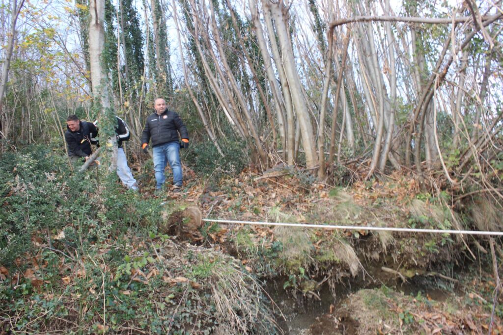 SPERONE. Il taglio del Maio di Sant’Elia. Le foto più belle di Francesco Piccolo