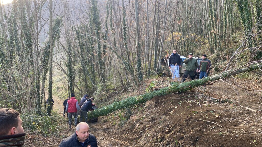 SPERONE. Il taglio del Maio di Sant’Elia. Le foto più belle di Francesco Piccolo