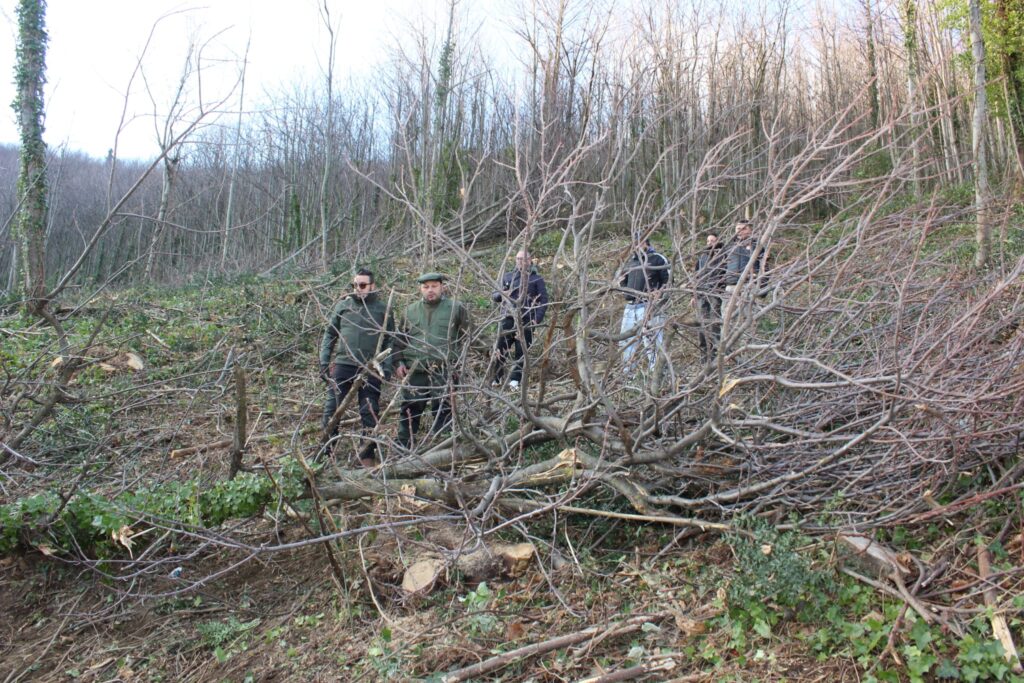 SPERONE. Il taglio del Maio di Sant’Elia. Le foto più belle di Francesco Piccolo