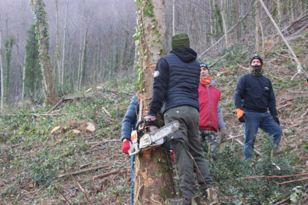 SPERONE. Il taglio del Maio di Sant’Elia. Le foto più belle di Francesco Piccolo