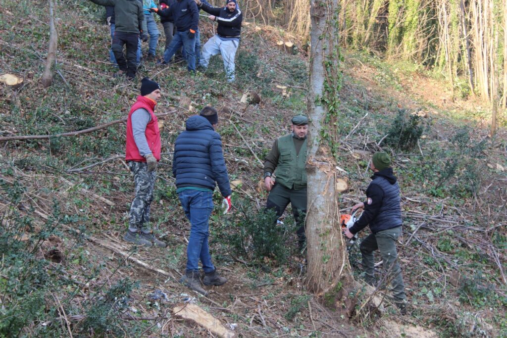 SPERONE. Il taglio del Maio di Sant’Elia. Le foto più belle di Francesco Piccolo