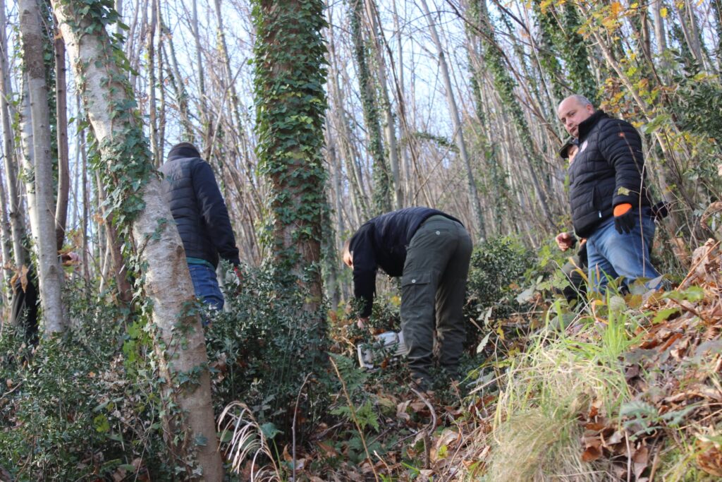 SPERONE. Il taglio del Maio di Sant’Elia. Le foto più belle di Francesco Piccolo