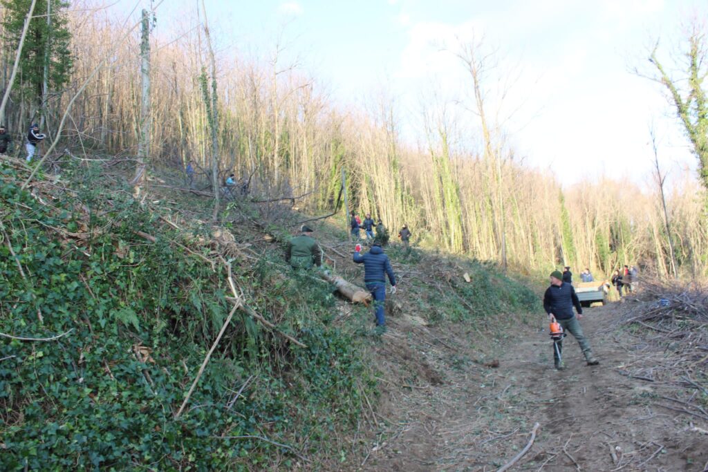 SPERONE. Il taglio del Maio di Sant’Elia. Le foto più belle di Francesco Piccolo