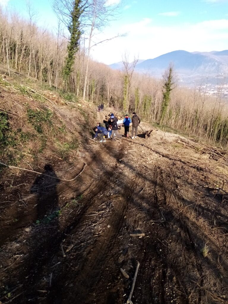 SPERONE. Il taglio del Maio di Sant’Elia. Le foto più belle di Francesco Piccolo