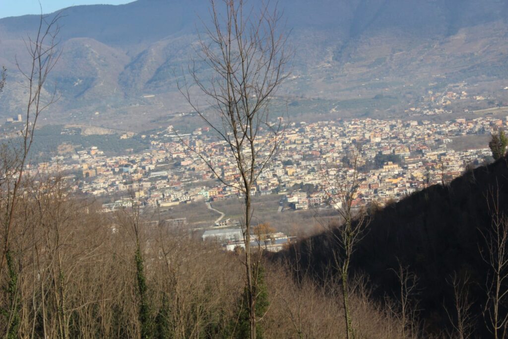 SPERONE. Il taglio del Maio di Sant’Elia. Le foto più belle di Francesco Piccolo