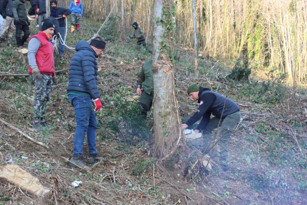 SPERONE. Il taglio del Maio di Sant’Elia. Le foto più belle di Francesco Piccolo