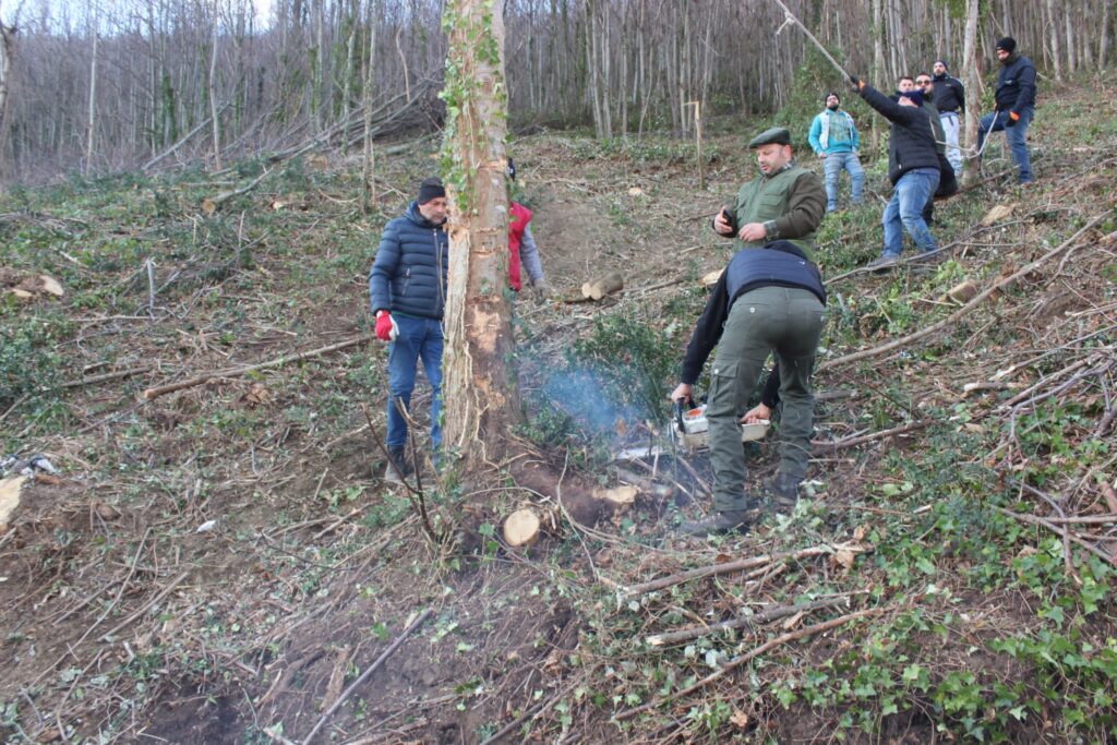SPERONE. Il taglio del Maio di Sant’Elia. Le foto più belle di Francesco Piccolo