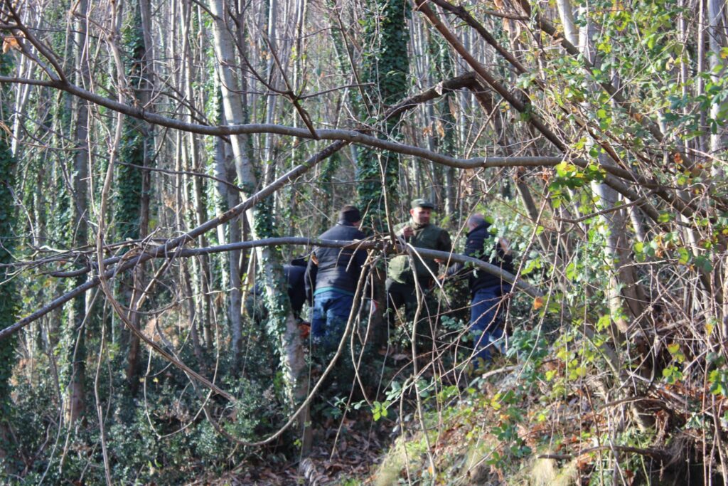 SPERONE. Il taglio del Maio di Sant’Elia. Le foto più belle di Francesco Piccolo
