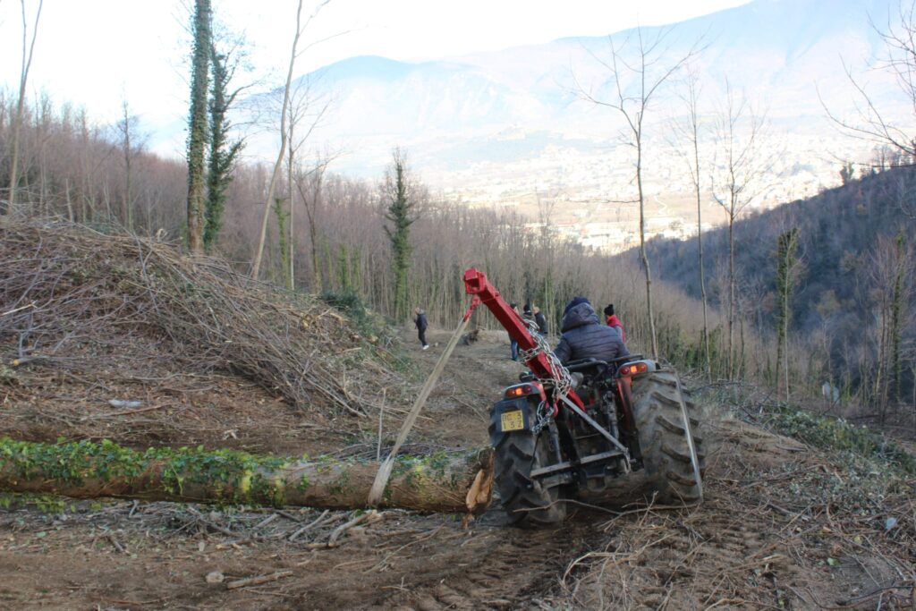 SPERONE. Il taglio del Maio di Sant’Elia. Le foto più belle di Francesco Piccolo