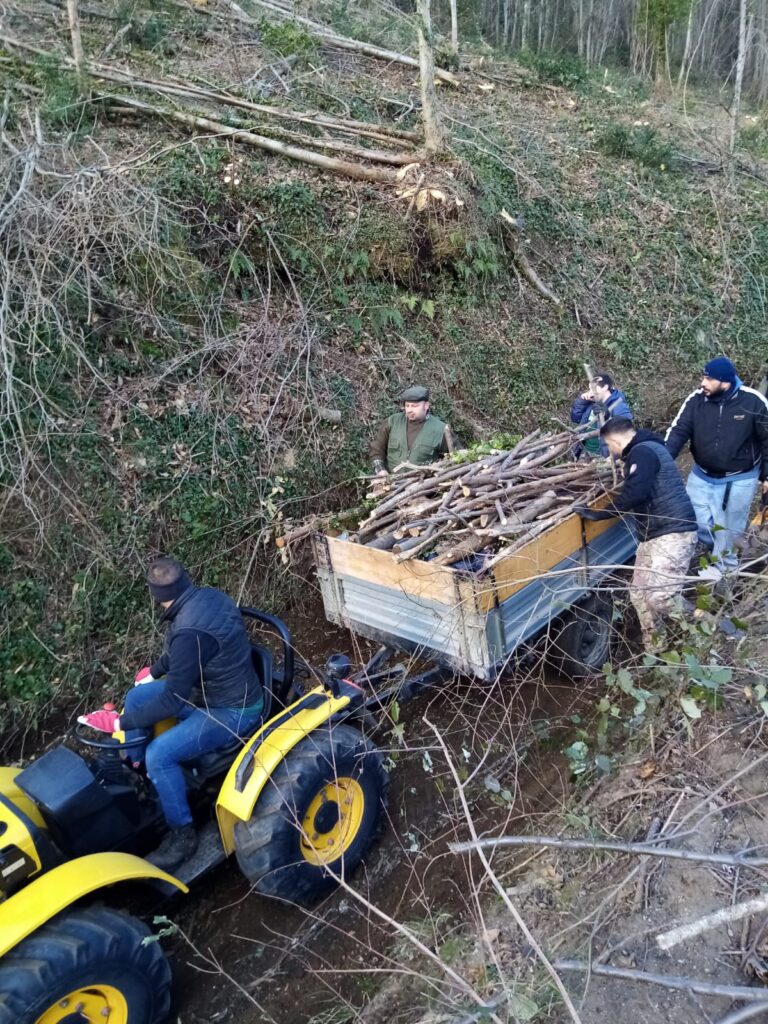 SPERONE. Il taglio del Maio di Sant’Elia. Le foto più belle di Francesco Piccolo