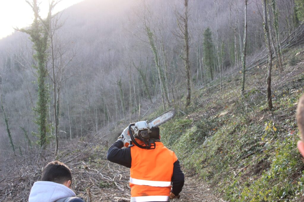 SPERONE. Il taglio del Maio di Sant’Elia. Le foto più belle di Francesco Piccolo
