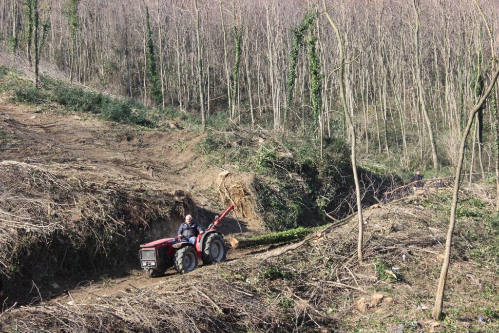 SPERONE. Il taglio del Maio di Sant’Elia. Le foto più belle di Francesco Piccolo