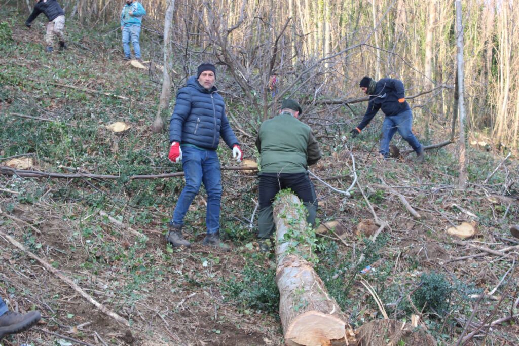 SPERONE. Il taglio del Maio di Sant’Elia. Le foto più belle di Francesco Piccolo