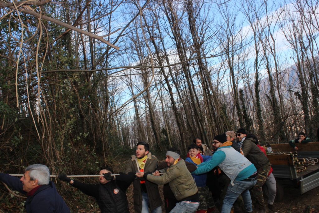 SPERONE. Il taglio del Maio di Sant’Elia. Le foto più belle di Francesco Piccolo