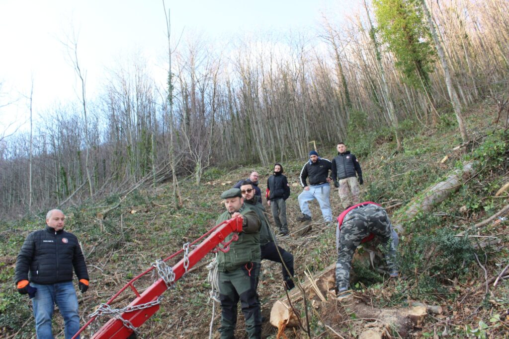 SPERONE. Il taglio del Maio di Sant’Elia. Le foto più belle di Francesco Piccolo