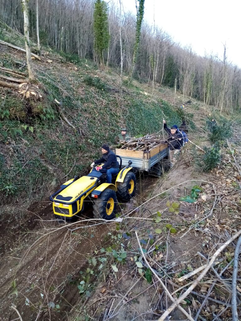 SPERONE. Il taglio del Maio di Sant’Elia. Le foto più belle di Francesco Piccolo