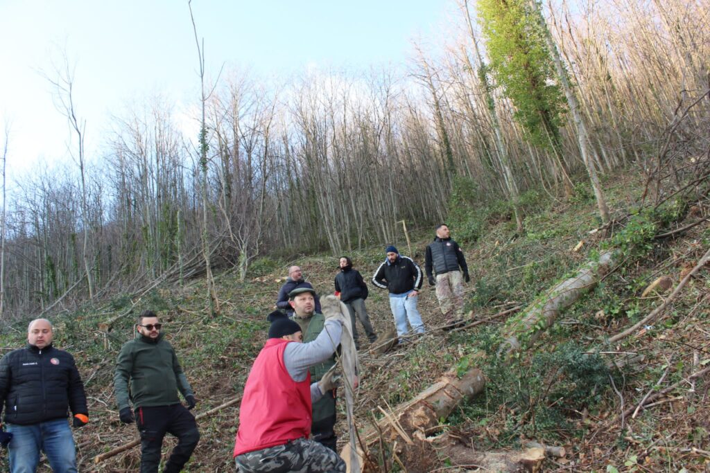 SPERONE. Il taglio del Maio di Sant’Elia. Le foto più belle di Francesco Piccolo