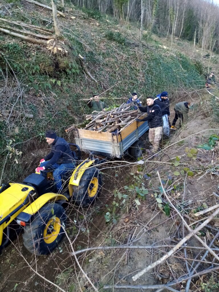 SPERONE. Il taglio del Maio di Sant’Elia. Le foto più belle di Francesco Piccolo